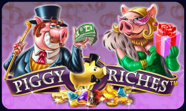 piggy riches touch